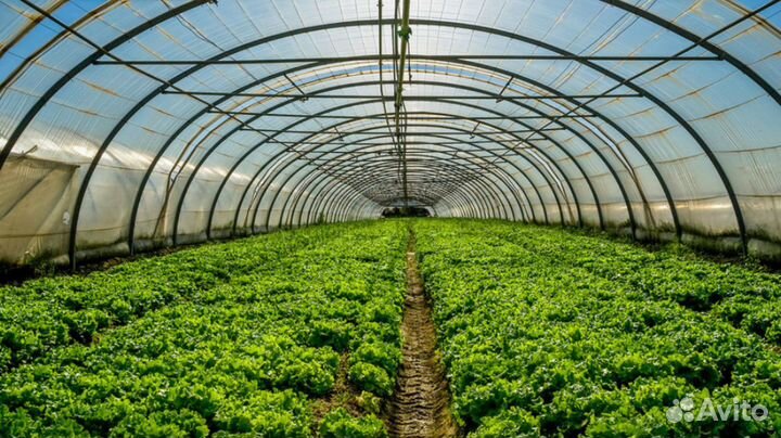 Нематоцыд препарат 