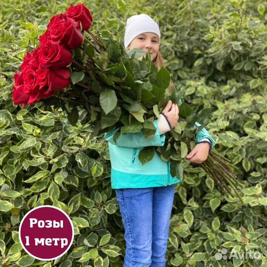 Букет красных роз, Эквадор, 100см 29 шт