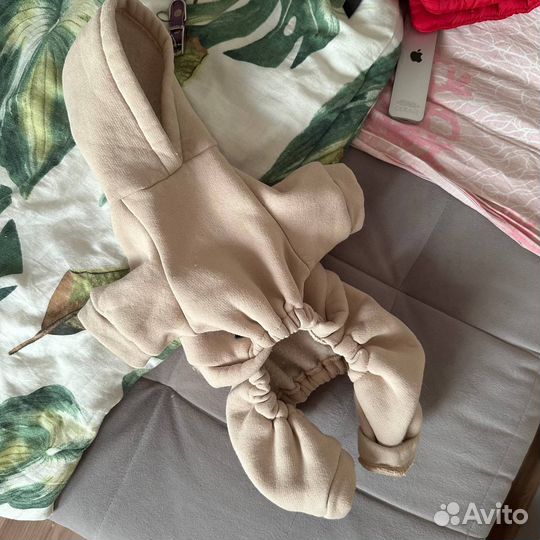 Спортивный костюм и толстовка для собак