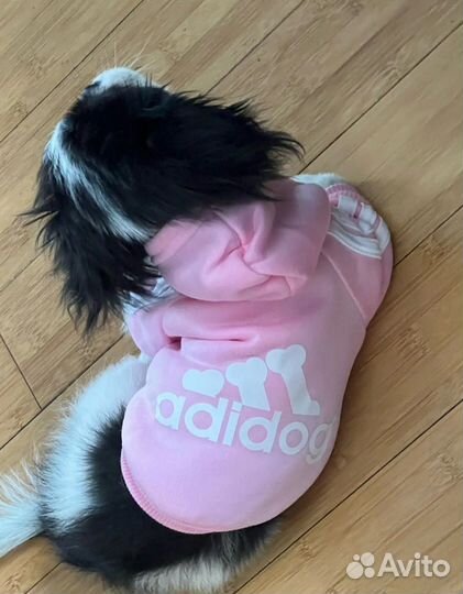 Одежда для собак новая