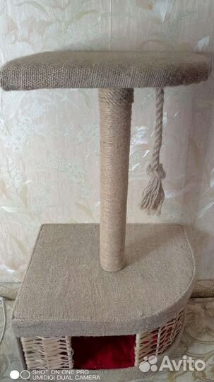 Когтеточка домик для кошки новый