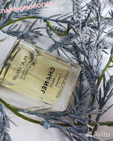 Chanel Egoiste platinum