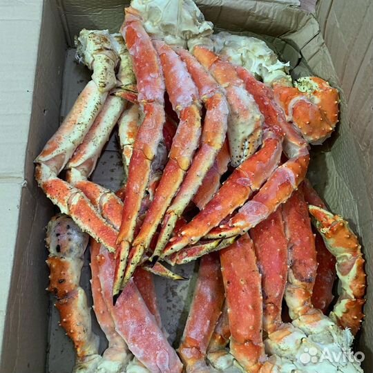 Клешни камчатского краба