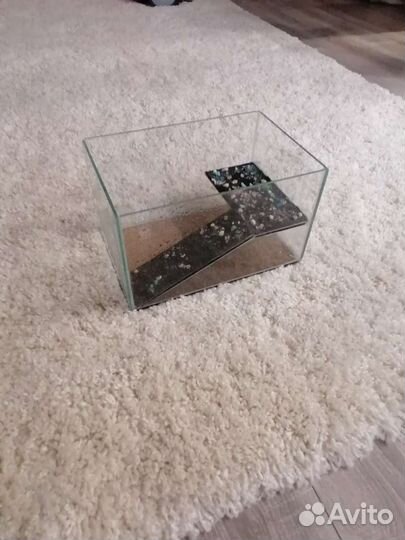 Террариум для красноухой черепахи