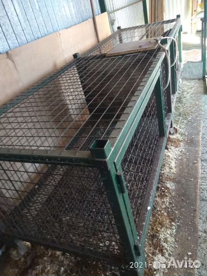 Клетки для нутрий