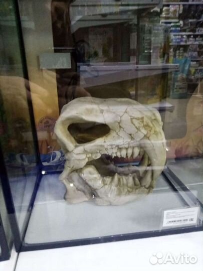 Украшения для аквариума