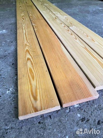 Планкен прямой лиственница