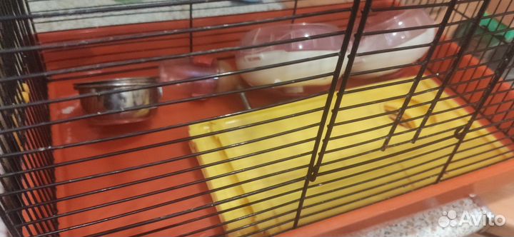 Клетка для грызунов