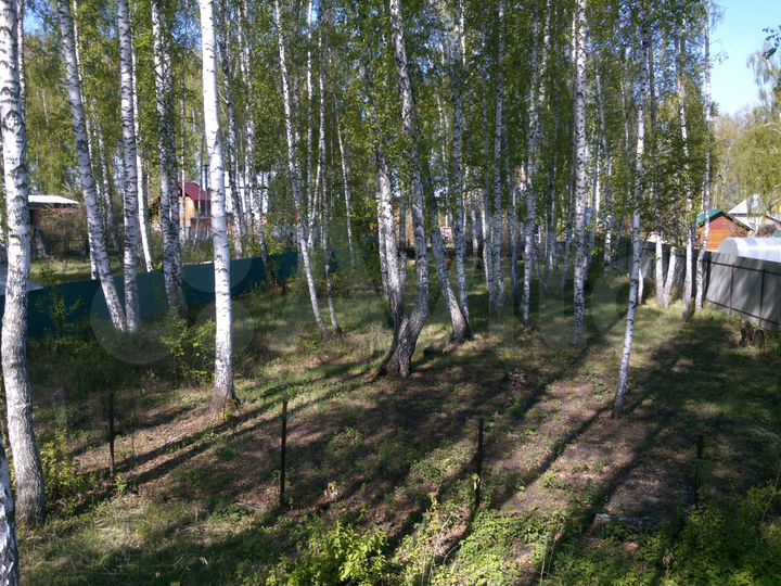 Участок 11 сот. (СНТ, ДНП)