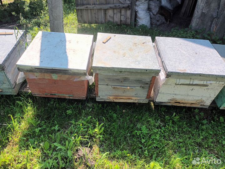 Ульи дадан б/у 12 рамочные