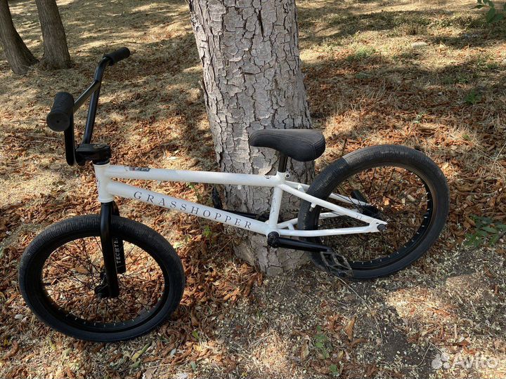 BMX Tech Team Grasshopper