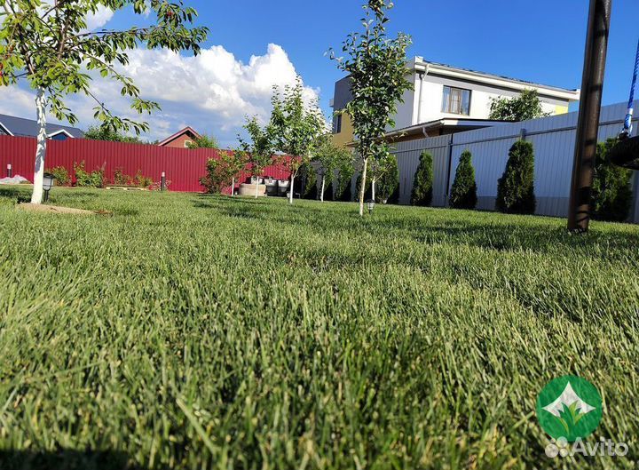 Рулонный газон. Укладка рулонного газона