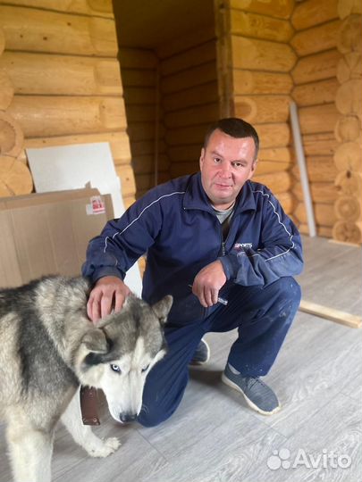 Сантехник, плиточник