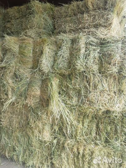 Сено в тюках и мешках