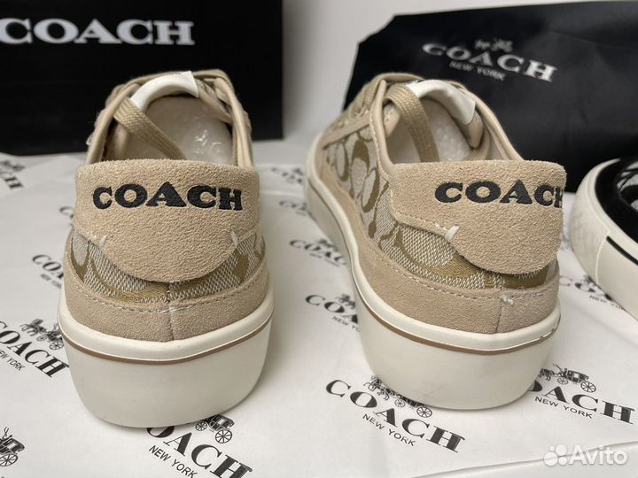 Кеды coach