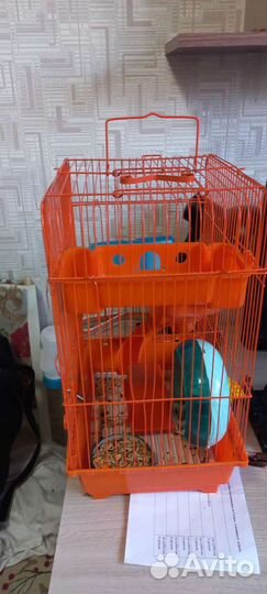 Джунгарский хомяк с клеткой