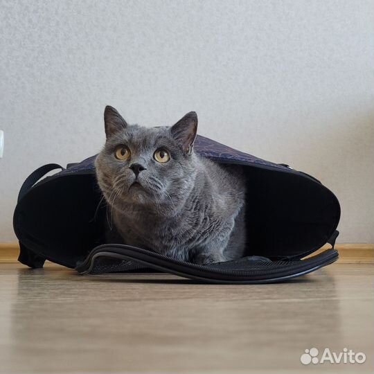 Сумка переноска большая