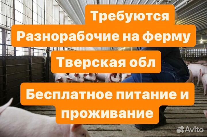 Вахта с проживанием. Разнорабочий на ферму в Твери