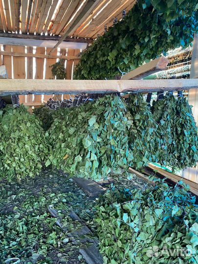 Веники для бани Берёзовые опт