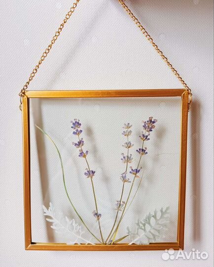 Лаванда под стеклом