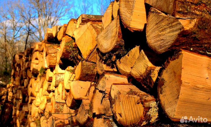 Лиственные дрова
