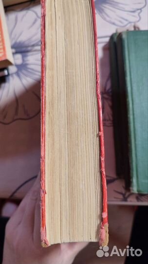 Никулин Московские зори