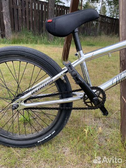 Bmx tech team millennium