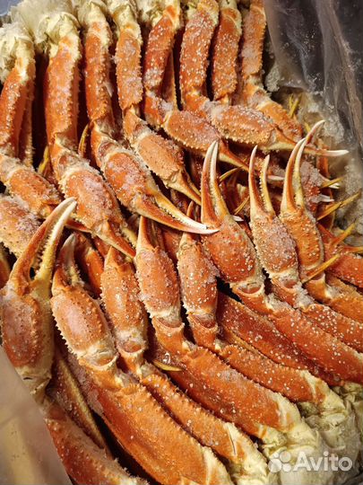 Клешни краба стригуна (опилио)