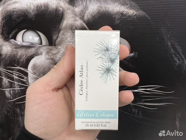 Cedre atlas atelier cologne