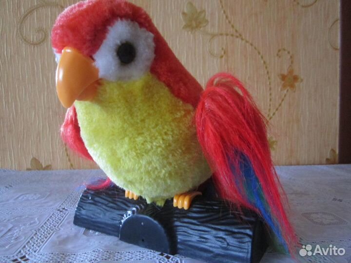 Декоративный (говорящий) попугай