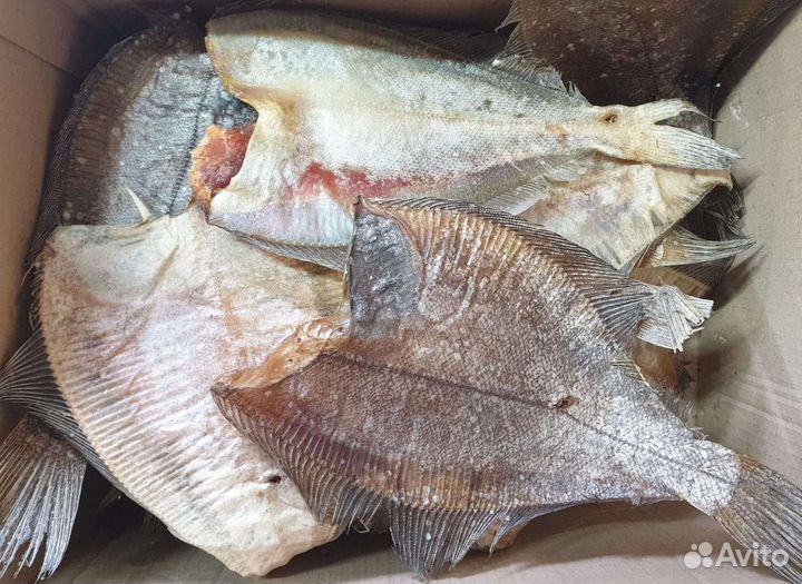 Форель Сёмга Печень трески Икра горбуши Ерш Палтус