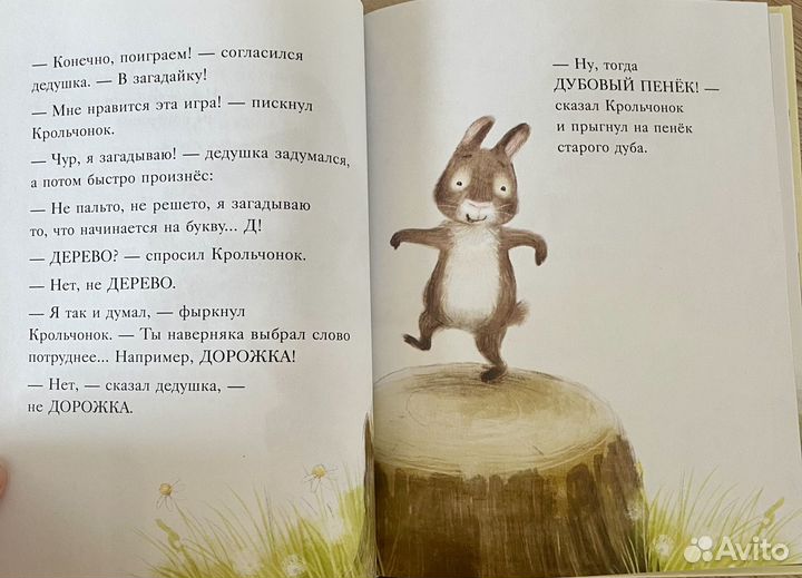 Большой сюрприз для маленького кролика. Книга