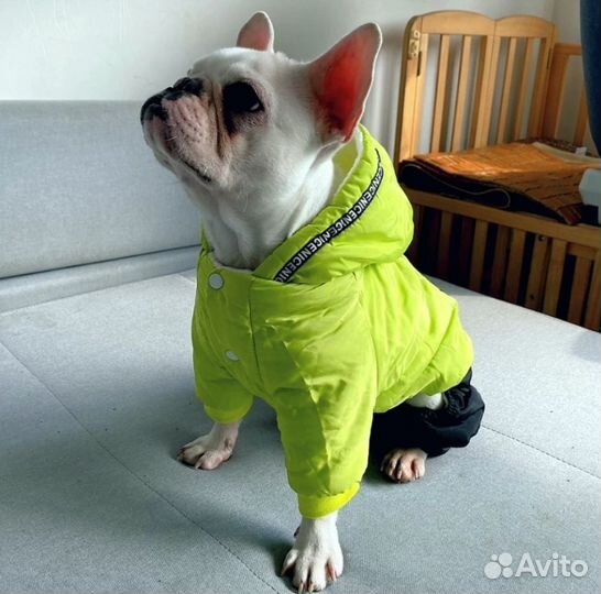 Hurtta одежда для собак