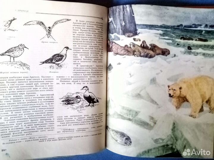 Детская советская энциклопедия,Растения и животные