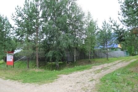 Участок 10 сот. (СНТ, ДНП)