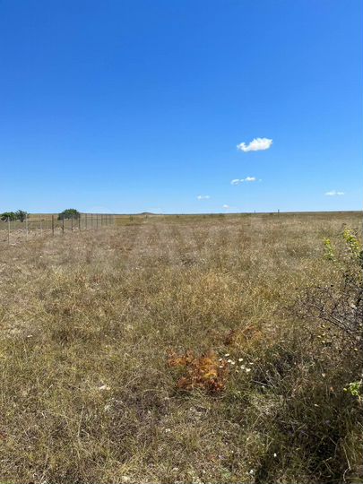 Участок 12 сот. (СНТ, ДНП)