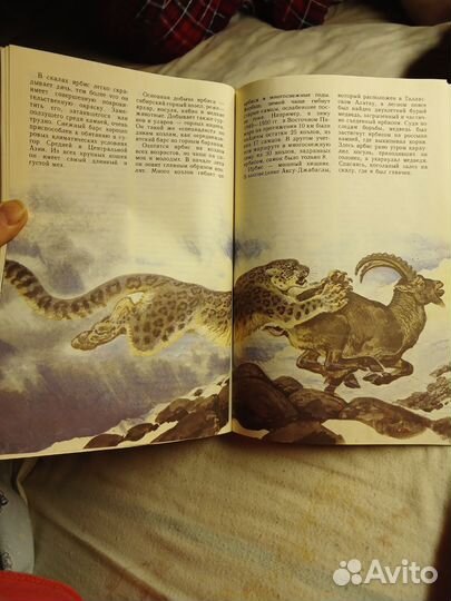 Звери красной книги СССР 1989