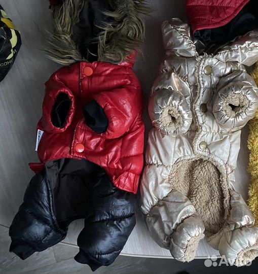 Вещи для маленьких собак