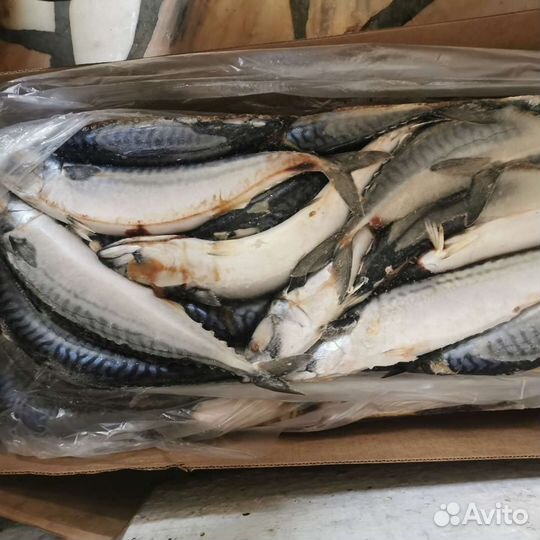 Рыба оптом