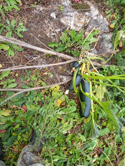 Участок 2 га (СНТ, ДНП)