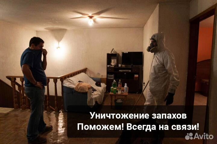 Обработка от клопов, клещей, кротов, комаров, крыс