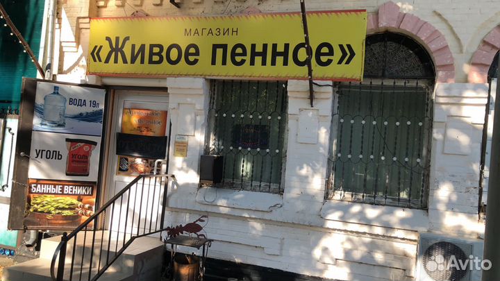 Продавец разливного пива с ежедневной оплатой