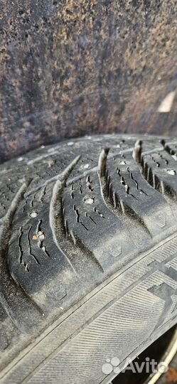 Hakkapeliitta 8 suv 225/60 r17