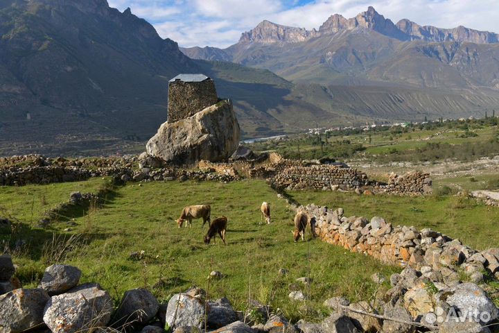 Пятигорск Топ-Экскурсия Автотур в мини-группе пого