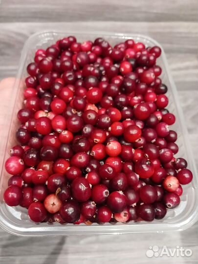 Клюква свежая