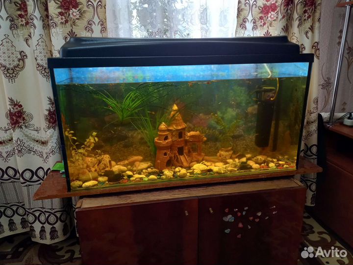 Аквариум