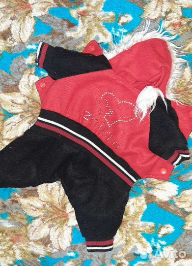 Одежда для мелких собак