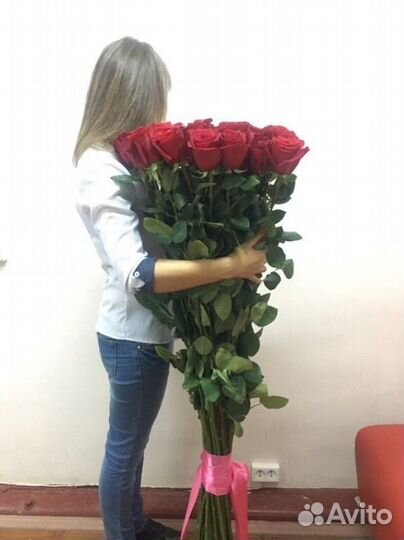 Розы красные 17 шт метровые