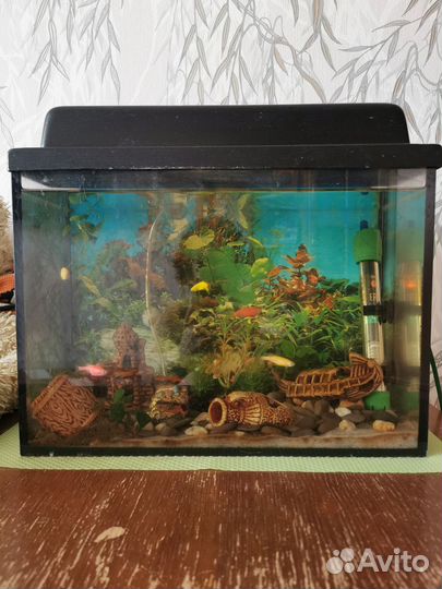 Аквариум