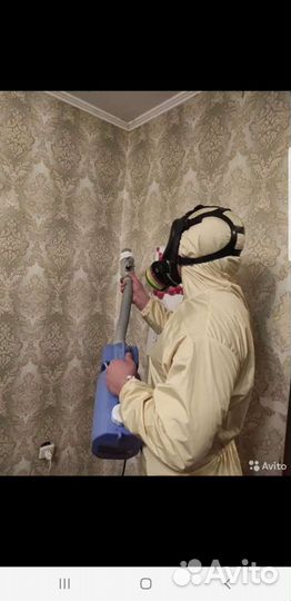 Дезинфекция от тараканов клапов